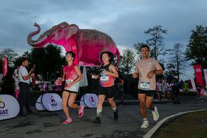 BIB: 
                            <button type="button" onclick="openModal(26529591)" class="btn btn-primary btn-sm float-right btn-popup" data-toggle="modal" data-target=".modal-high-quality">
                        <i class="fas fa-shopping-cart"></i> Add to Cart
                    </button>
                                            <button type="button" onclick="isThisMe(26529591, true)" class="btn btn-success btn-sm float-right btn-popup btn-isme hidden" data-toggle="tooltip" data-placement="bottom" title="นี่คือรูปของคุณใช่ไหม คลิกที่นี่เพื่อเอาเข้าอัลบั้ม">
                        <i class="fas fa-plus"></i> Add to album
                    </button>
                    <button type="button" onclick="isThisMe(26529591, false)" class="btn btn-warning btn-sm float-right btn-popup btn-isnotme hidden">
                        <i class="fas fa-ban"></i> Remove from album
                    </button>